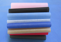 阿拉尔涤纶（PET）无纺布是什么